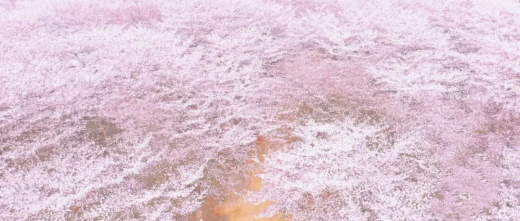 23021823143587539.png